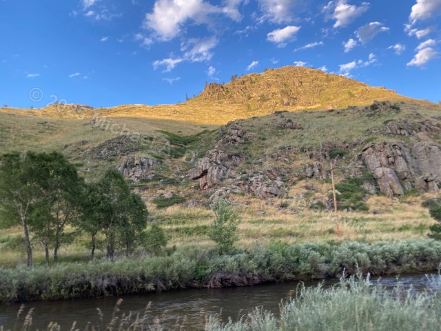 nature_2023-08-05 19.33.57-2023.jpg